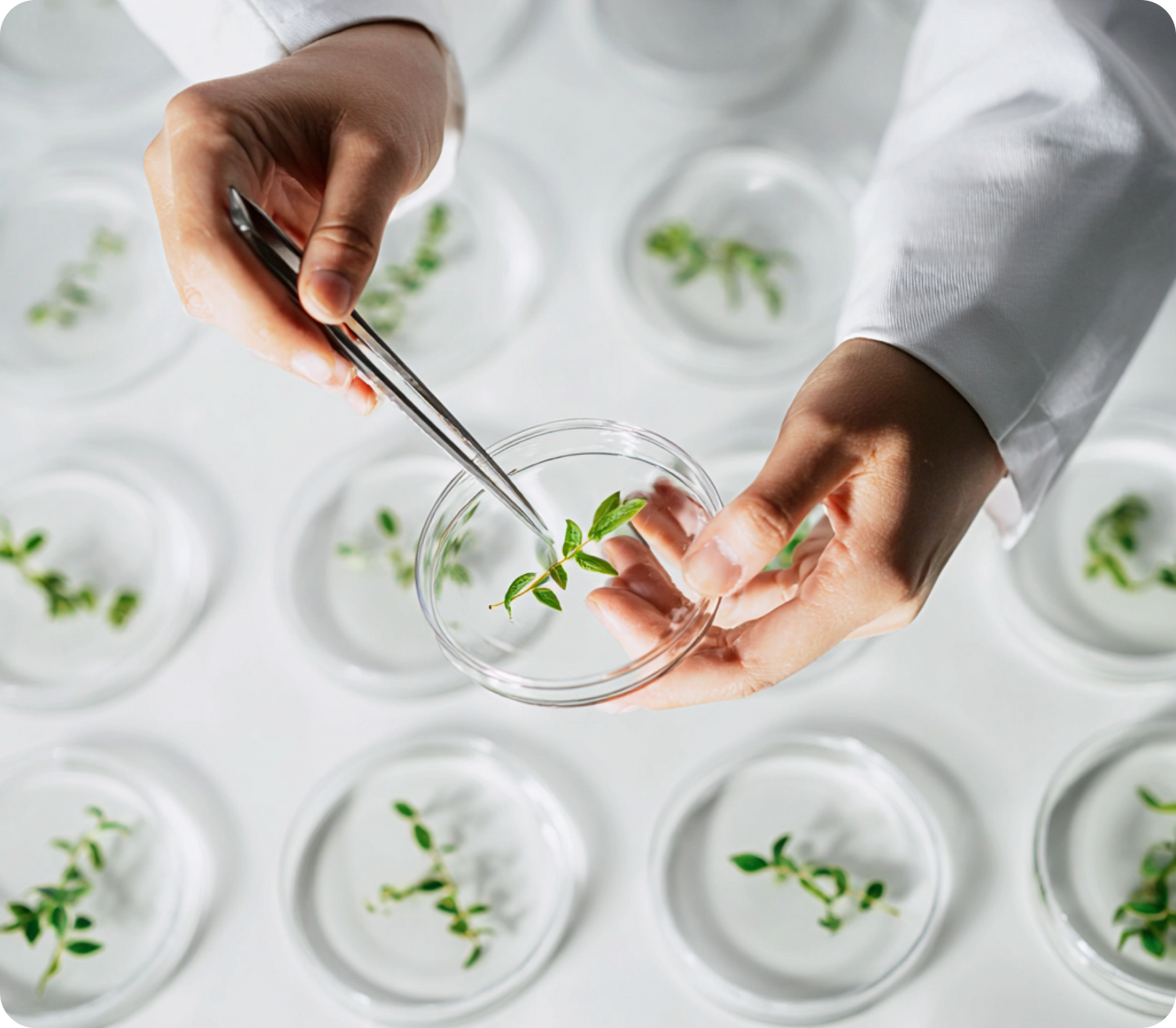 What is Lorem Ipsum?