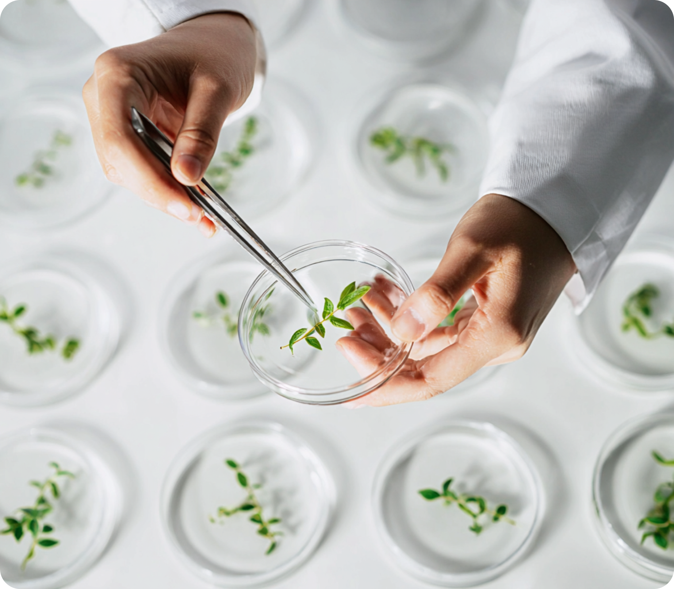 What is Lorem Ipsum?